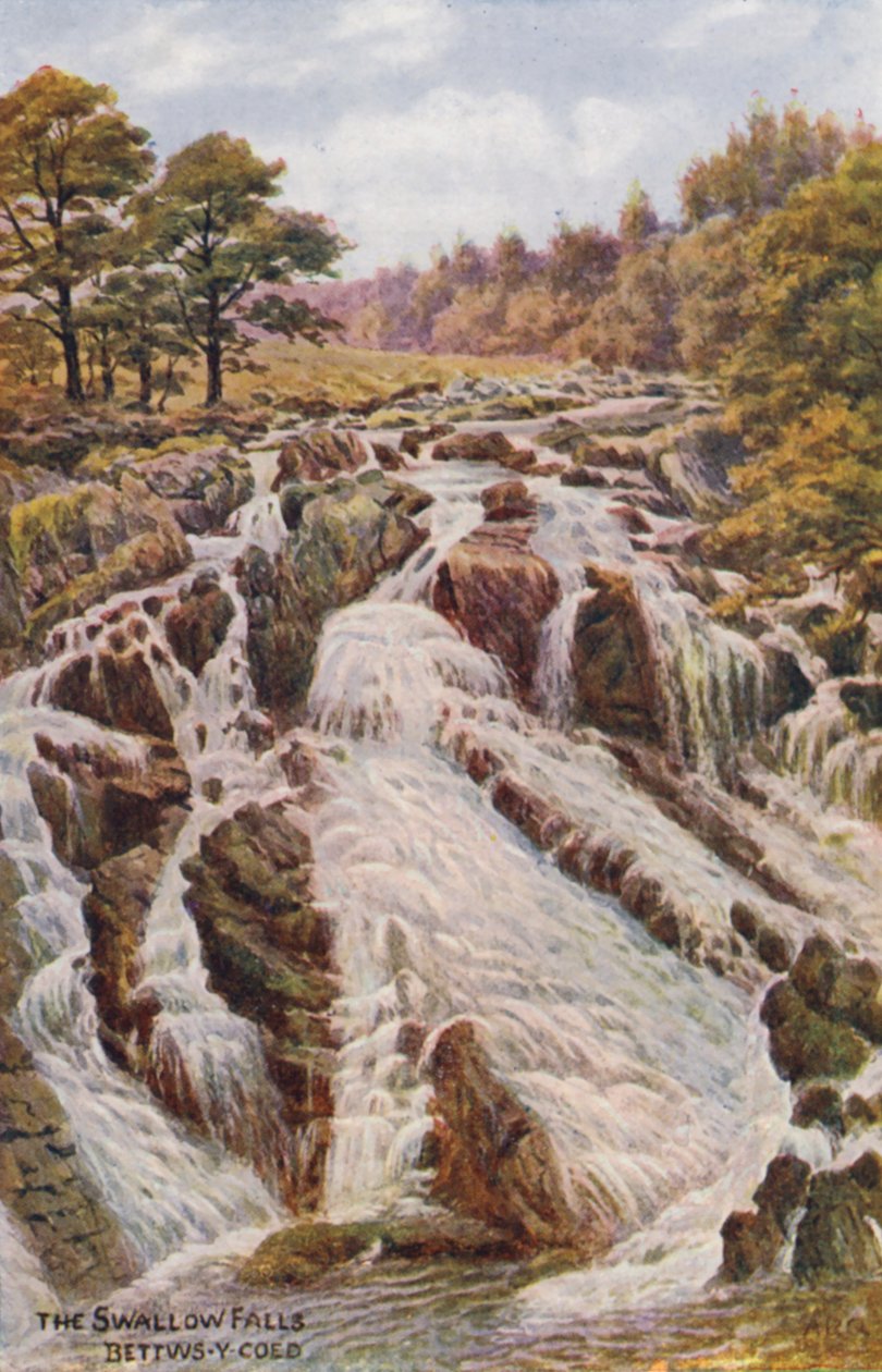 The Swallow Falls, Bettws-Y-Coed (lithographie couleur) - Alfred Robert Quinton