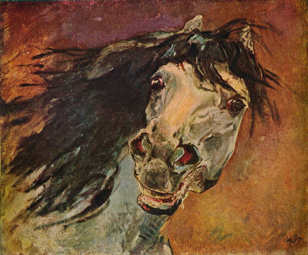 Tête de cheval andalou, vers 1910 - Alfred Roll