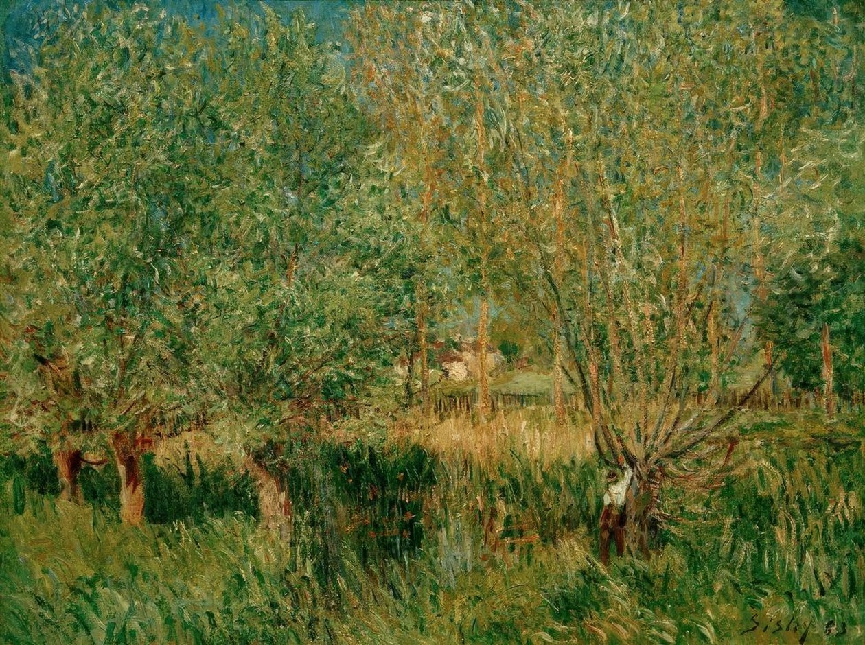 A.Sisley, Saules au bord de l