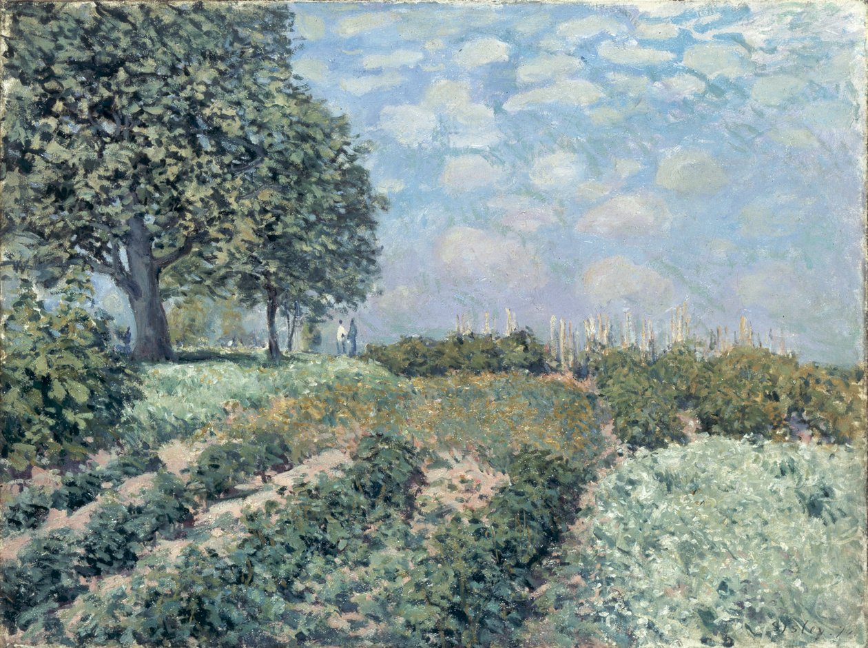Les Jardins du Marché - Alfred Sisley