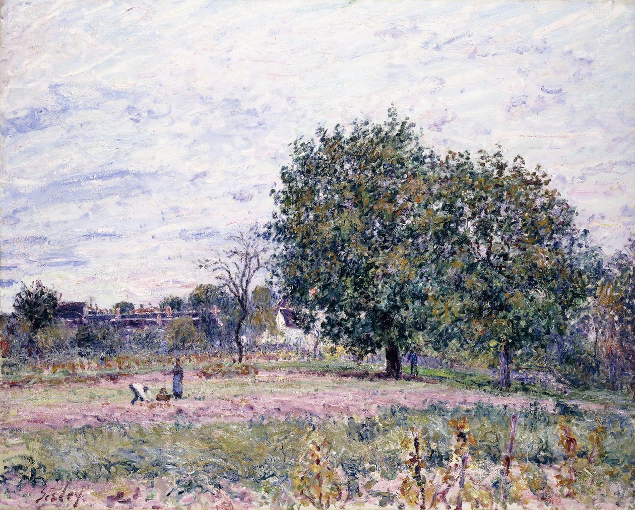 Noyers, Effet du coucher du soleil - Premier jour d