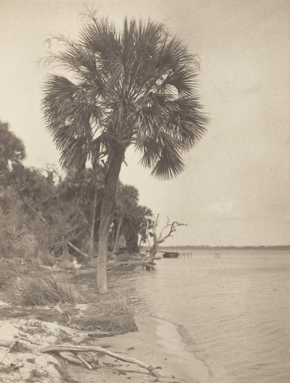 À Rockledge, en Floride - Alfred Stieglitz