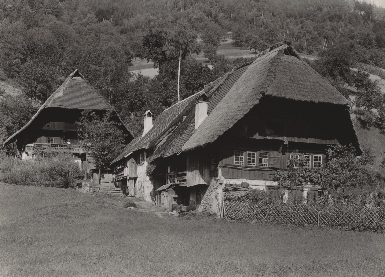 Maison de la Forêt-Noire - Alfred Stieglitz