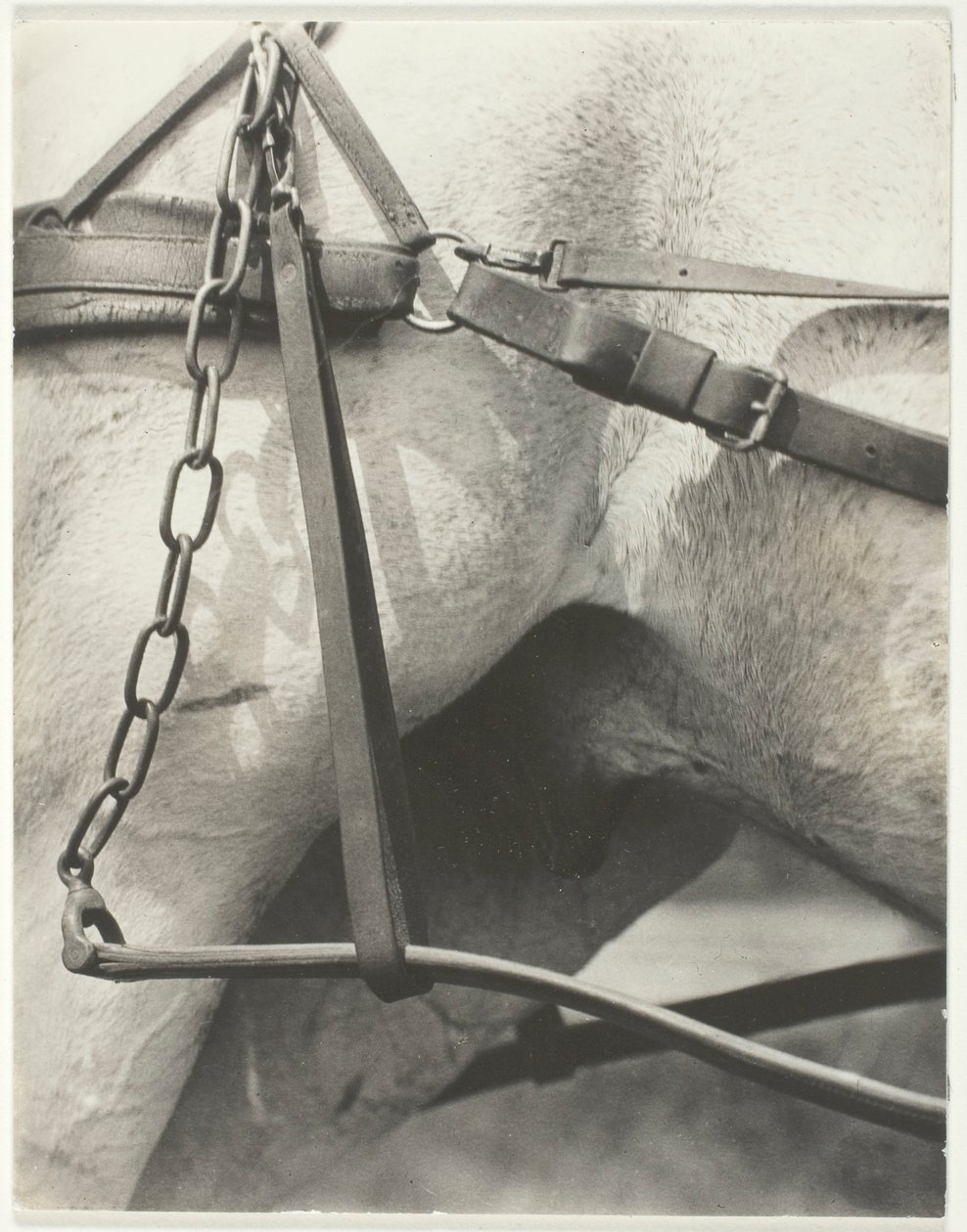 Équivalent, Amérique spirituelle - Alfred Stieglitz