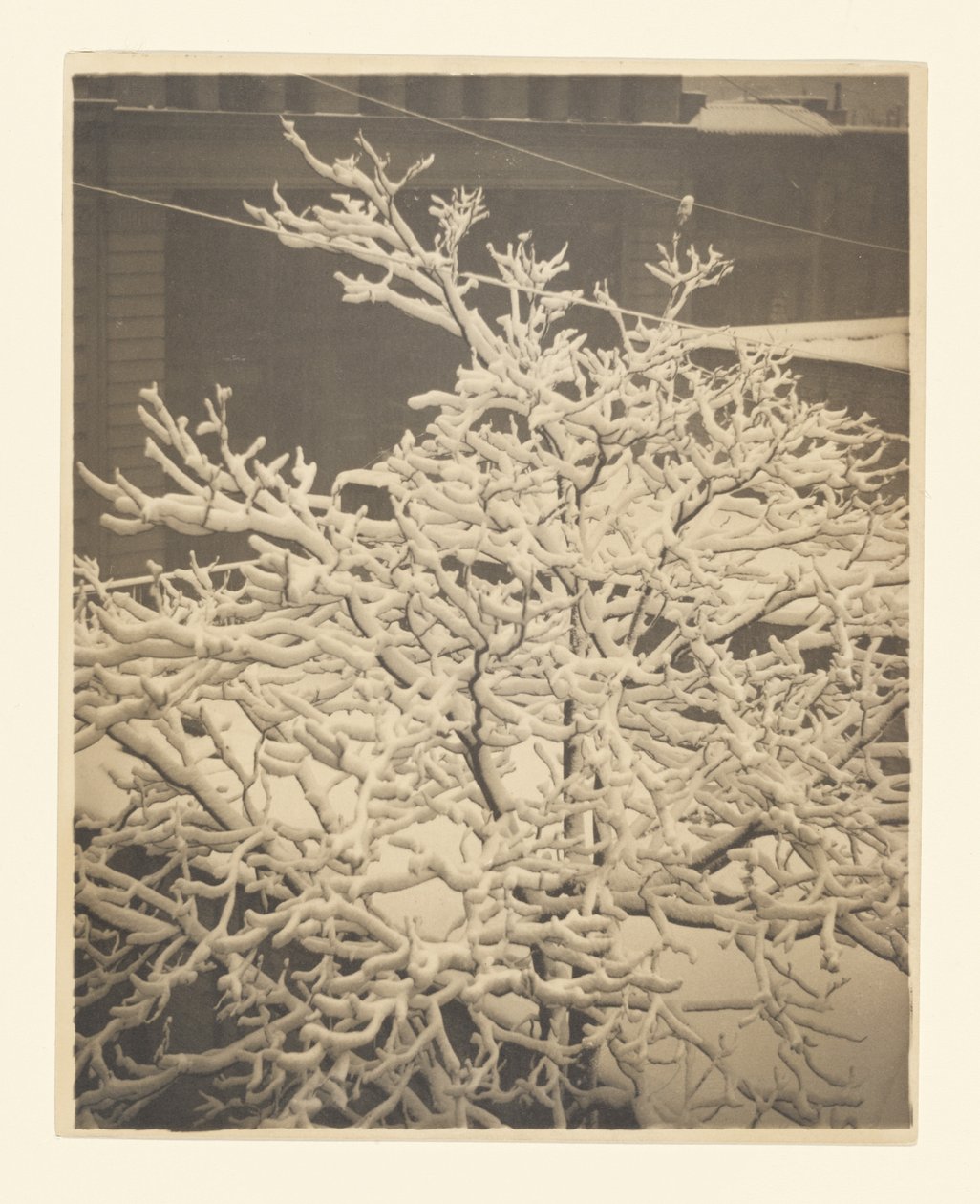 Depuis la fenêtre arrière du 291 - Alfred Stieglitz