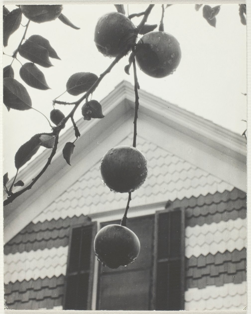 Pignon et pommes - Alfred Stieglitz