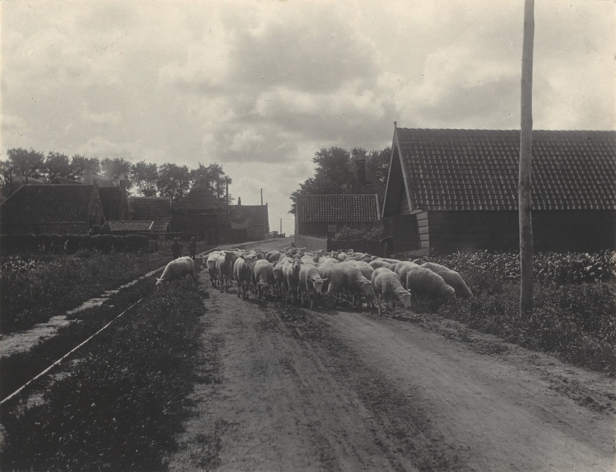 En route vers le pâturage - Alfred Stieglitz