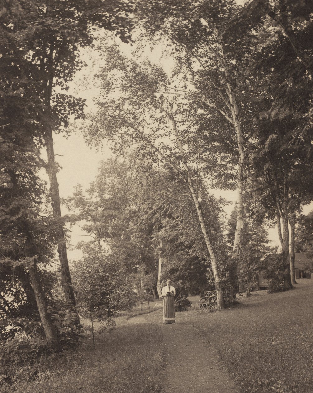 Sentier de Hedwig, Oaklawn, lac George - Alfred Stieglitz