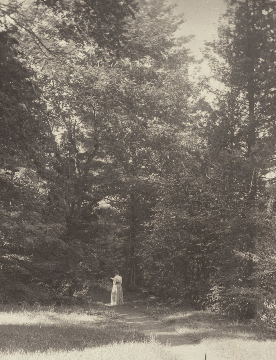 « Hedwigsweg » II, Lake George - Alfred Stieglitz