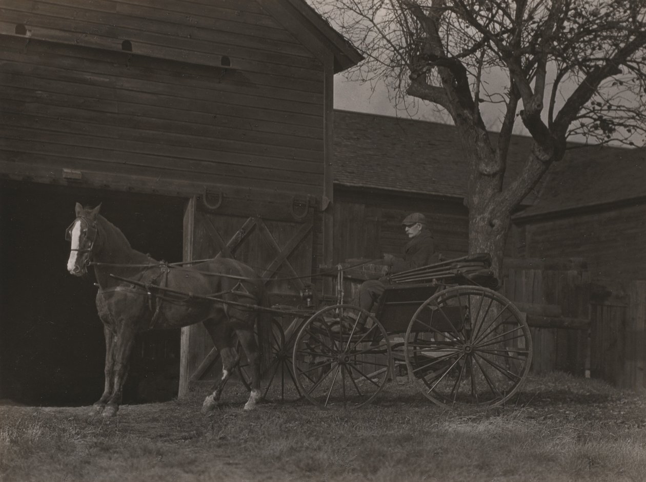 Cheval et calèche - Alfred Stieglitz