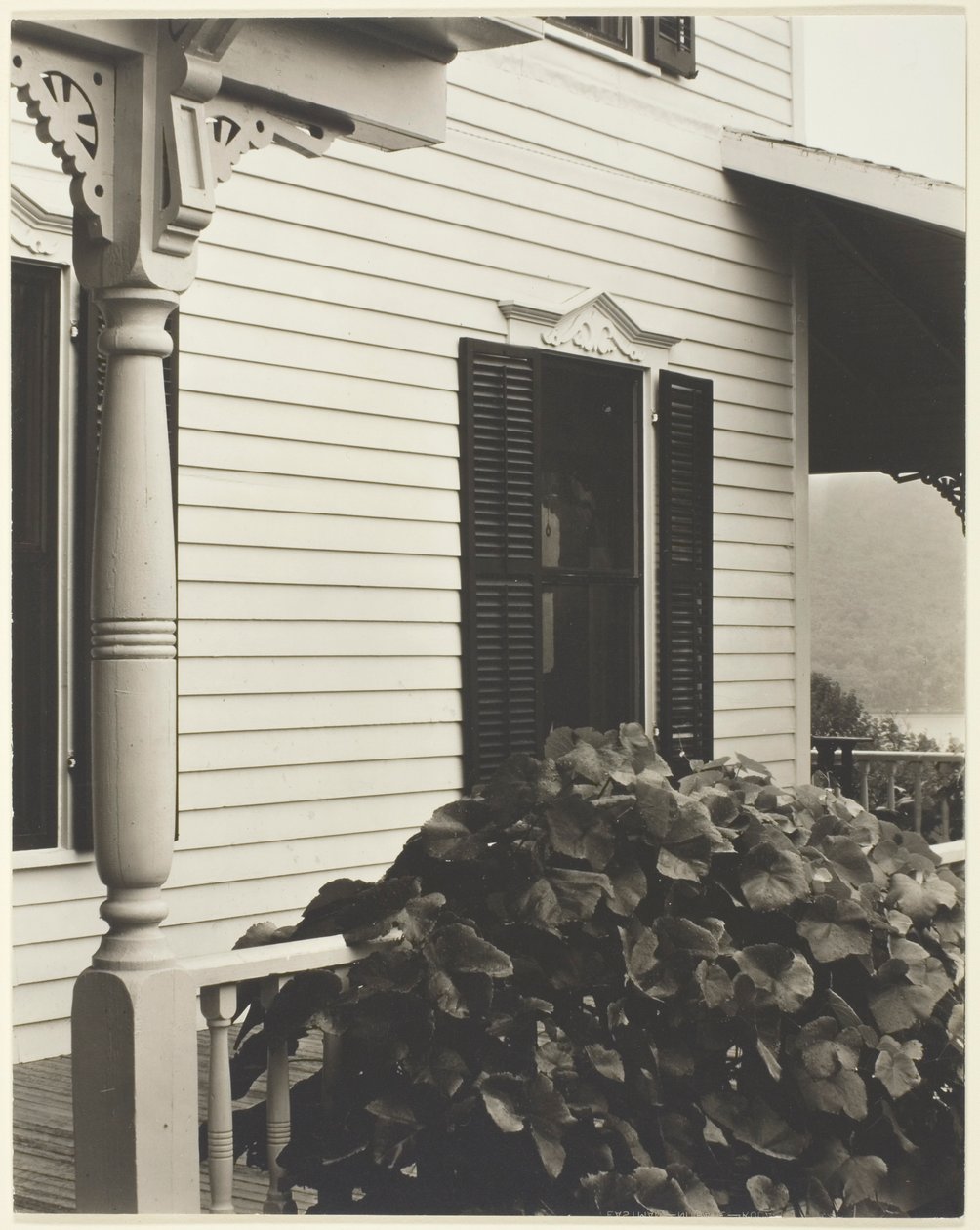 Maison et feuilles de vigne - Alfred Stieglitz