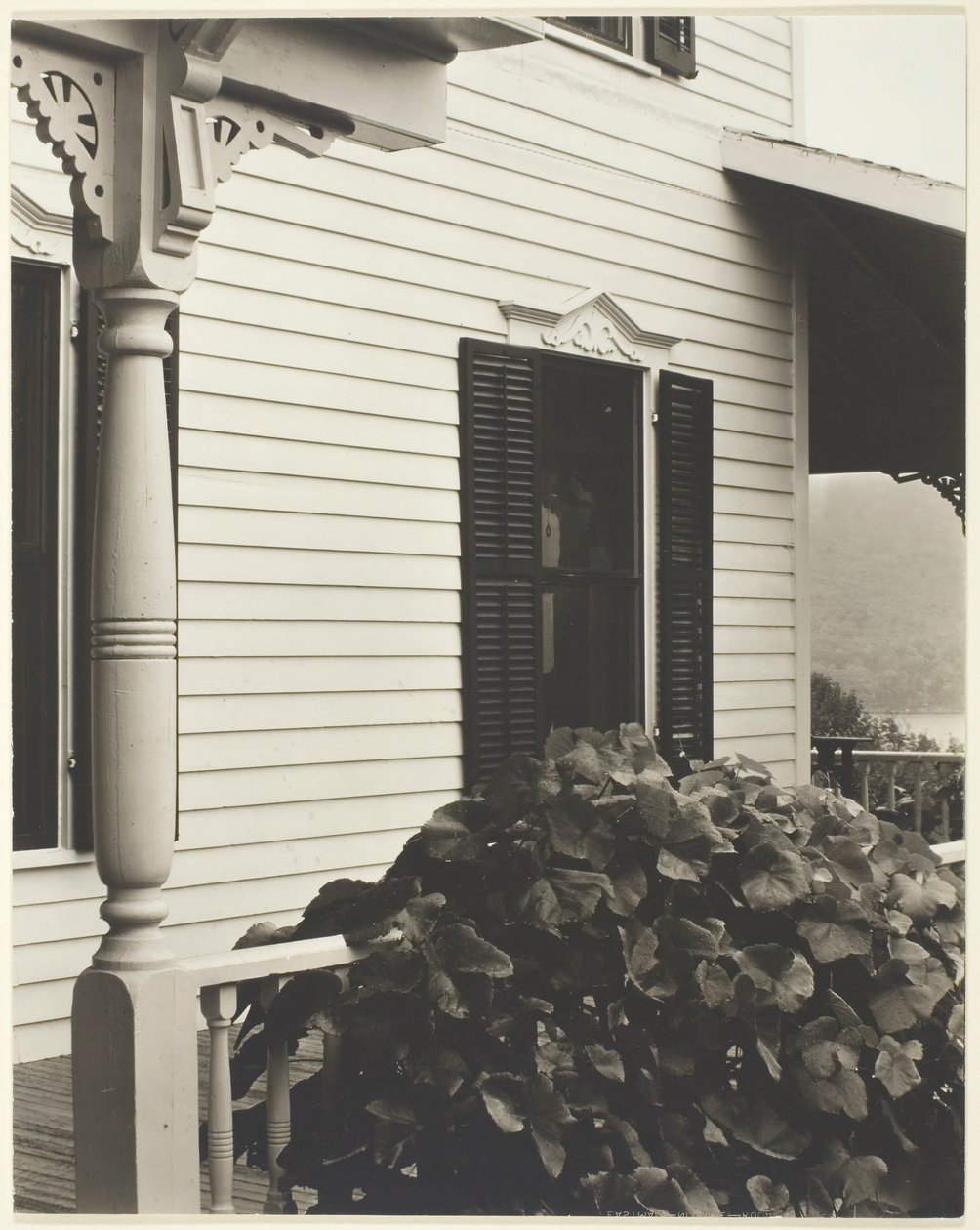 Maison et feuilles de vigne - Alfred Stieglitz