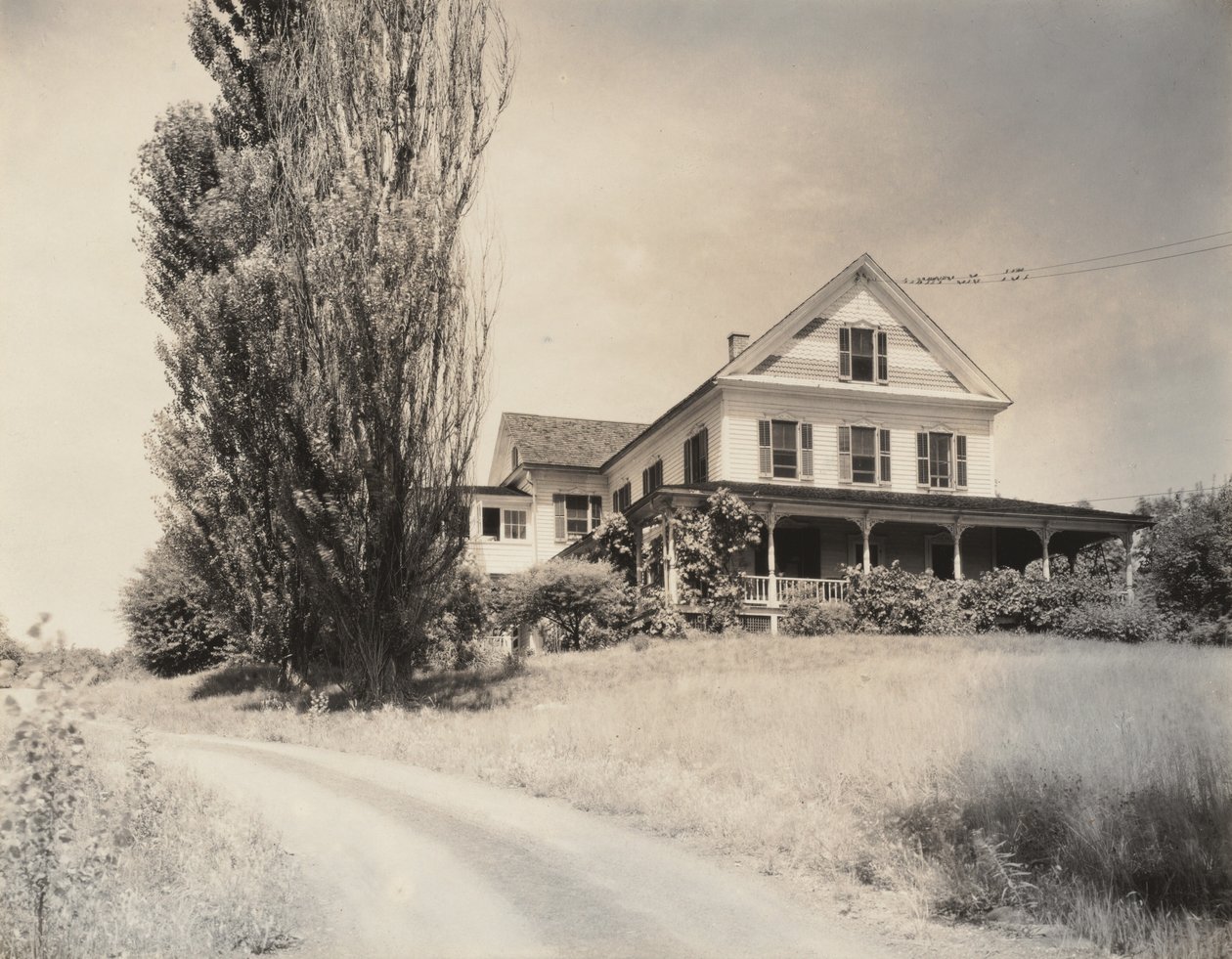 Maison et peupliers, Lake George - Alfred Stieglitz