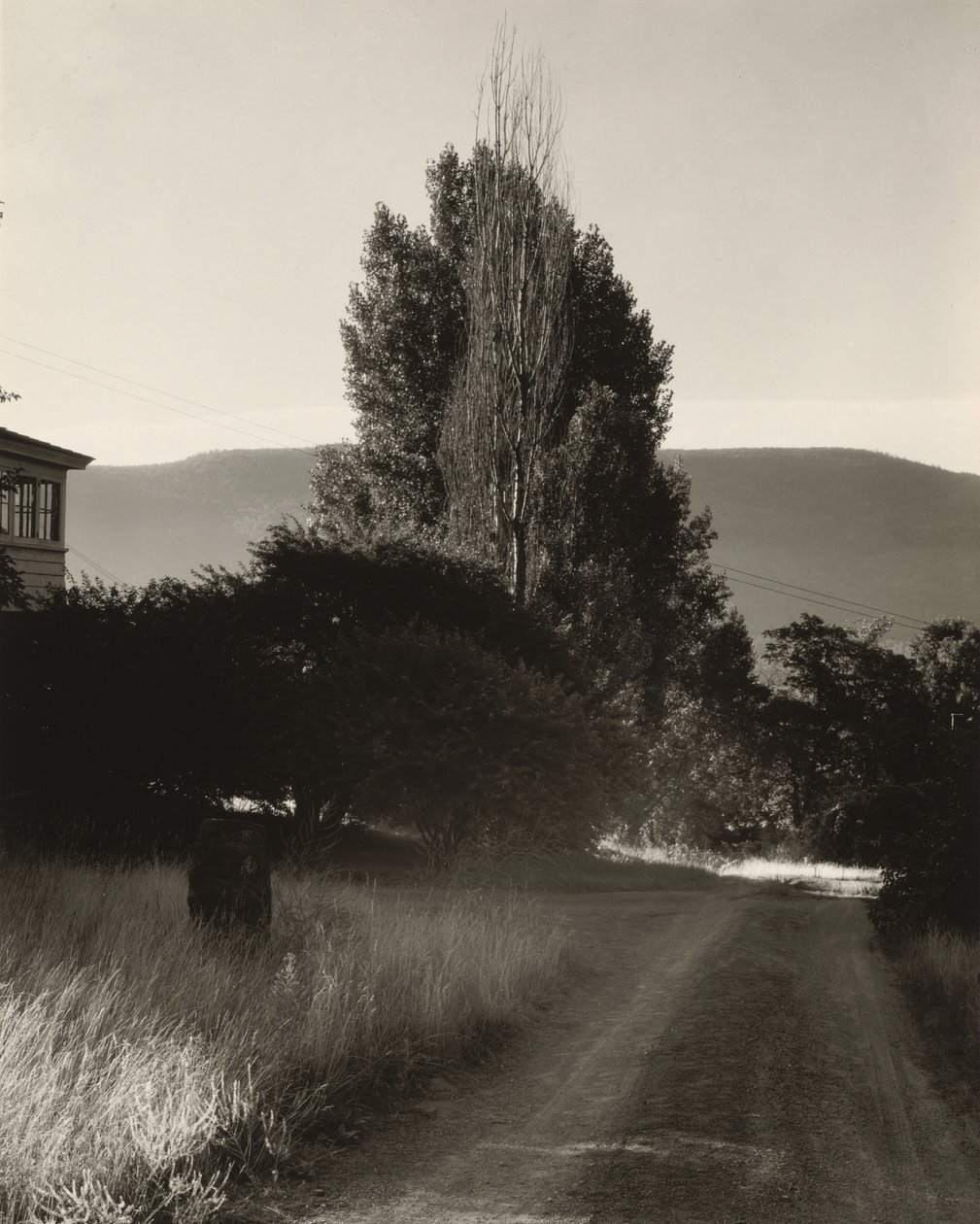 Maison et peupliers, lac George - Alfred Stieglitz