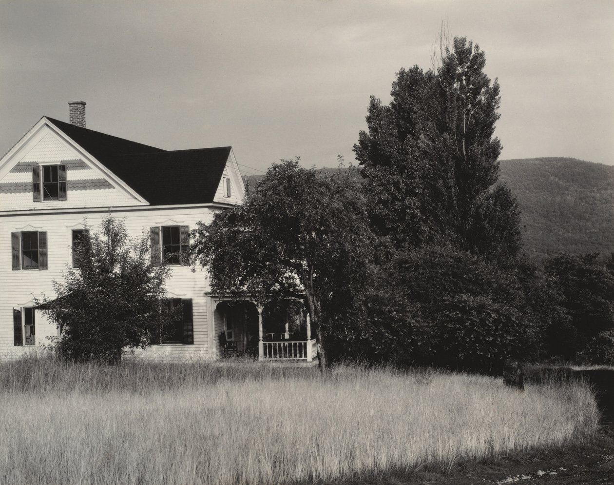 Maison et arbres, Lake George - Alfred Stieglitz