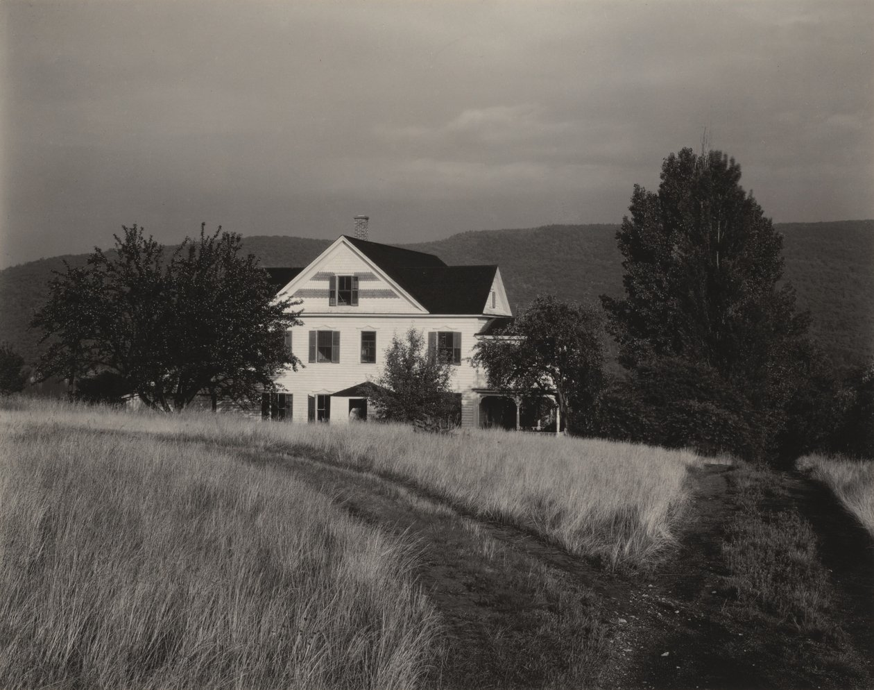Maison et arbres, Lake George - Alfred Stieglitz