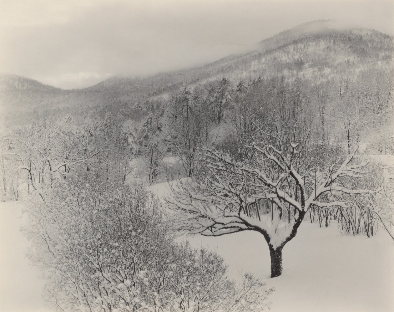 Lac George - Alfred Stieglitz