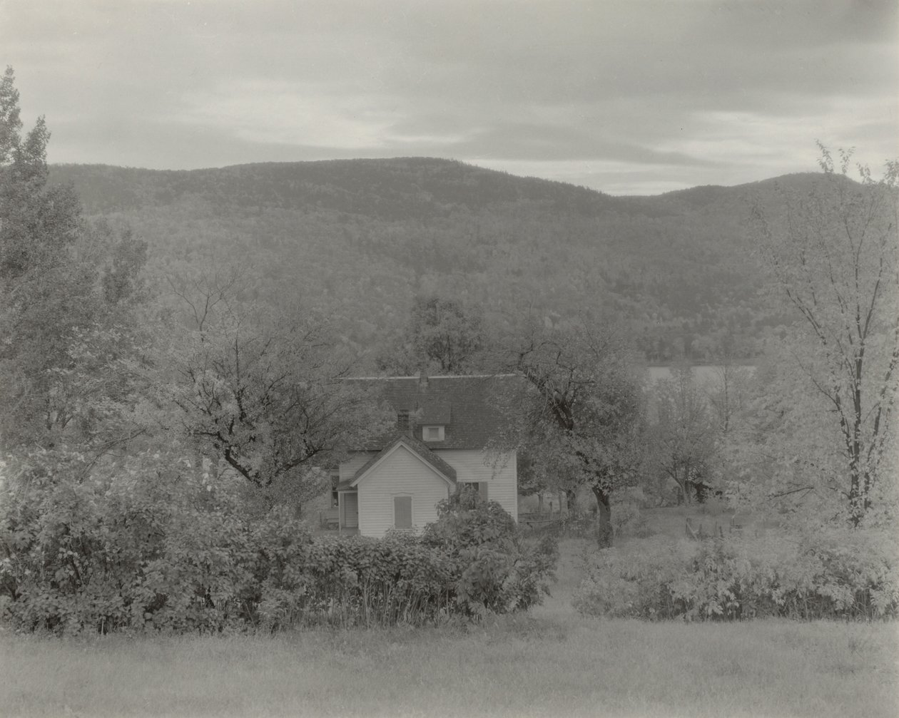 Lac George - Alfred Stieglitz