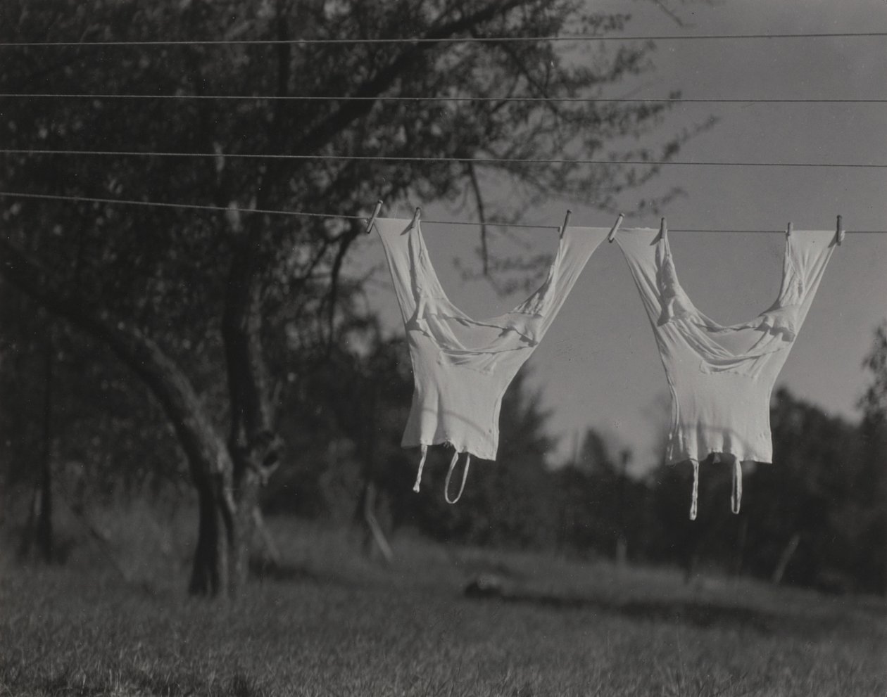Sous-vêtements longs, lac George - Alfred Stieglitz
