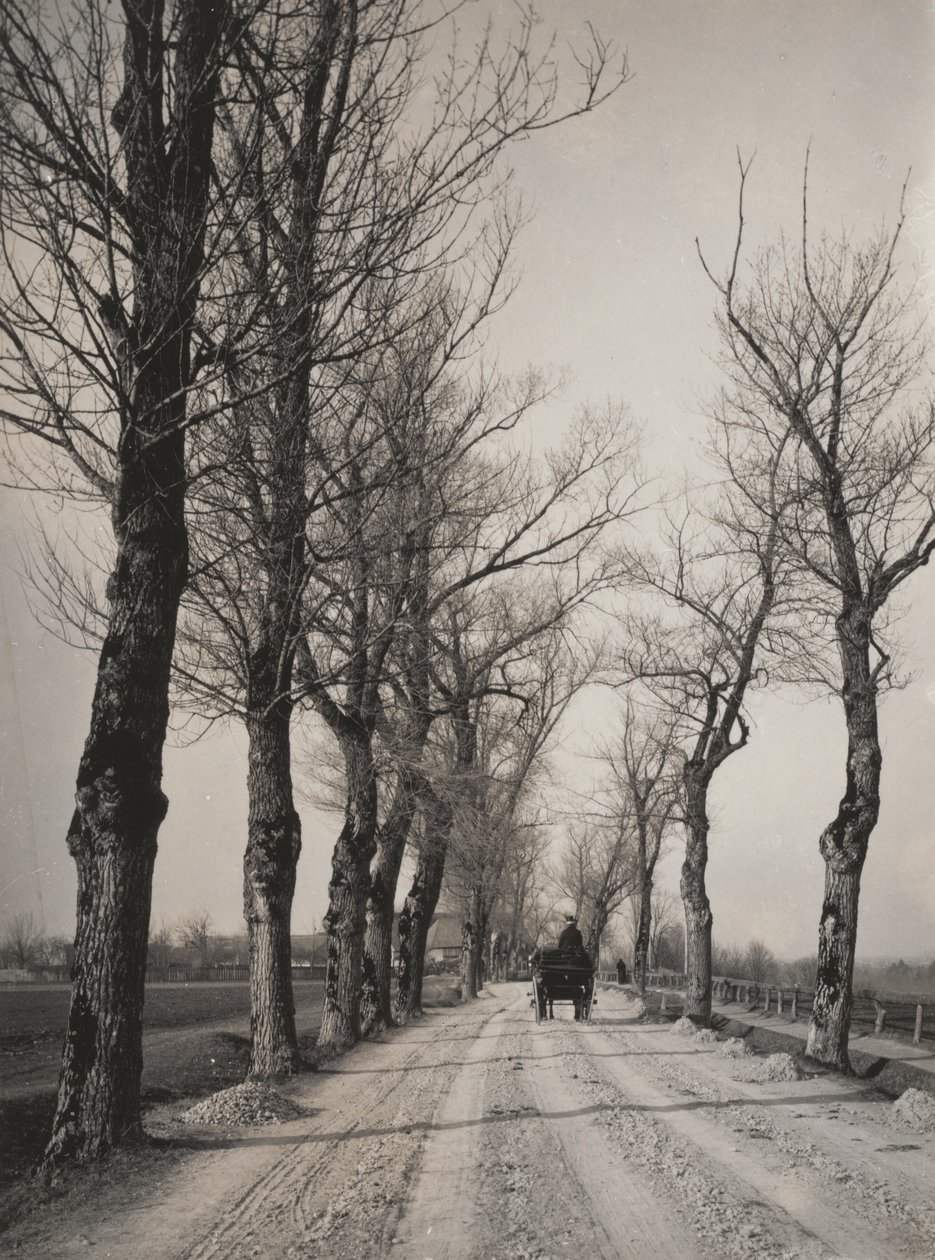 Les jours de novembre - Alfred Stieglitz