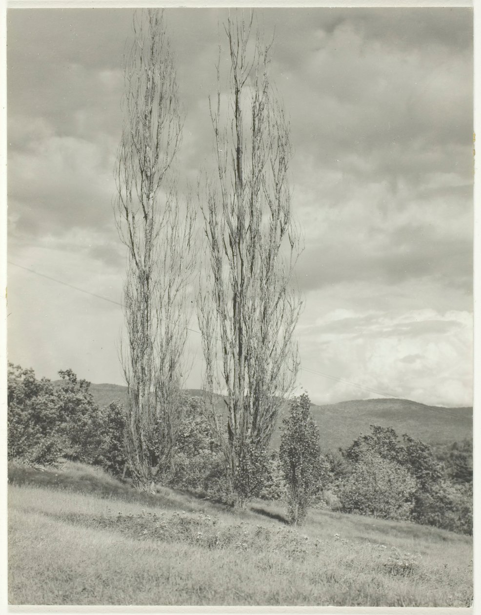 Peupliers—Lac George - Alfred Stieglitz