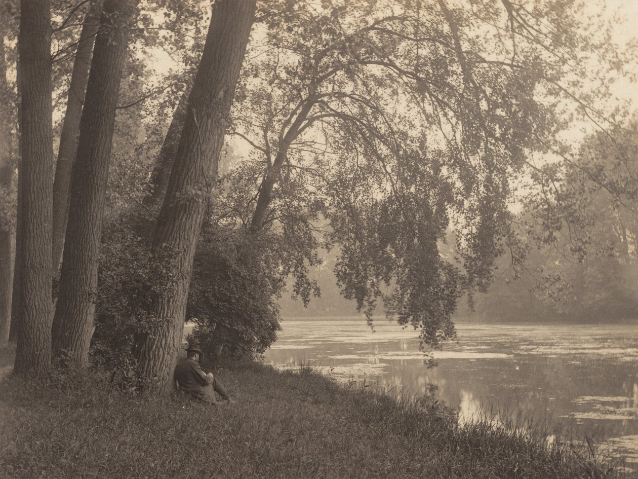 Croquis au Bois - Alfred Stieglitz