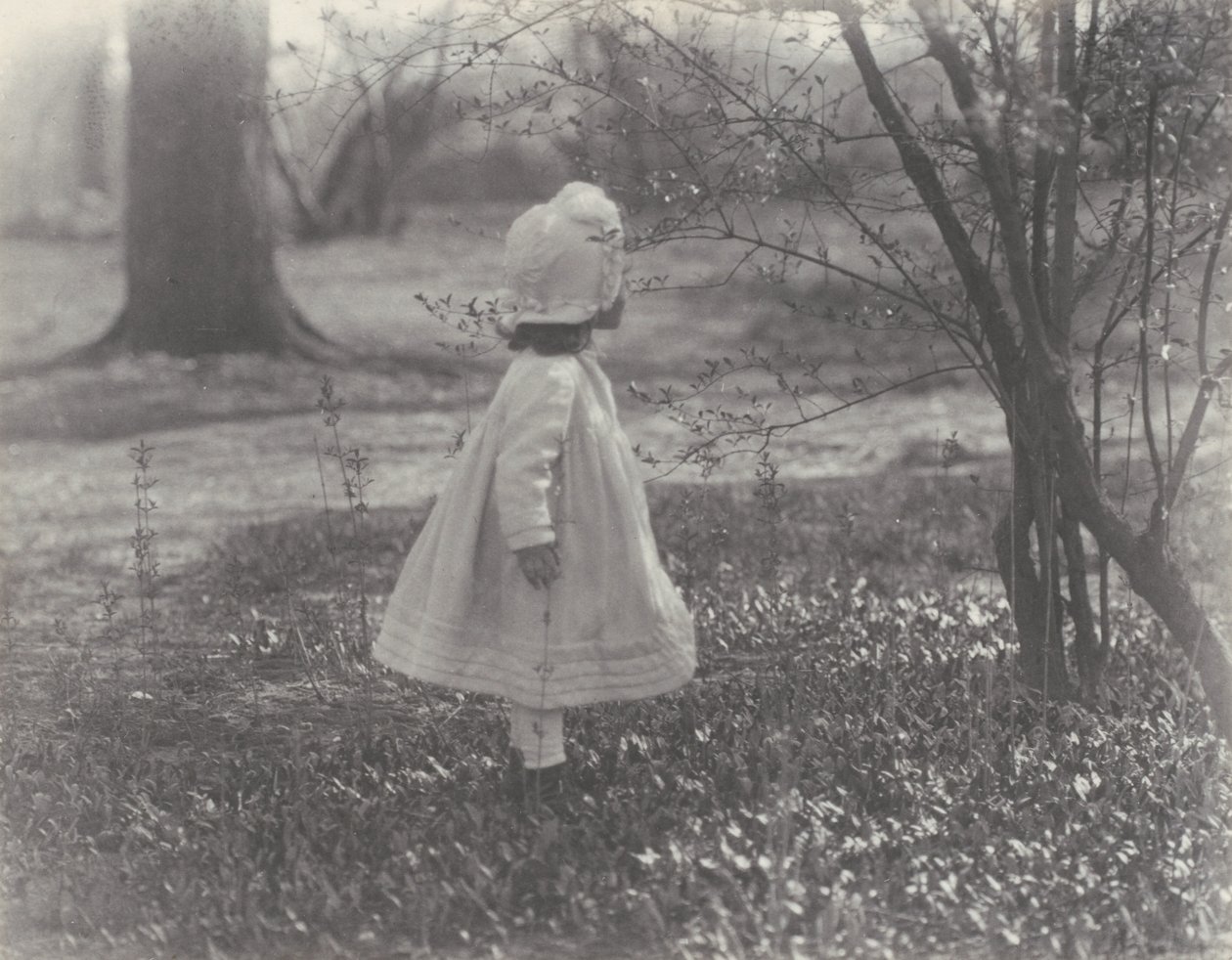 Printemps - Alfred Stieglitz