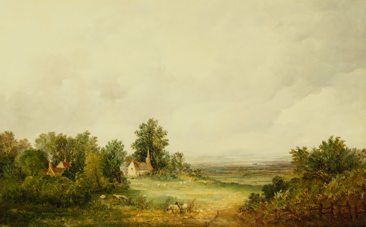 Moutons près d