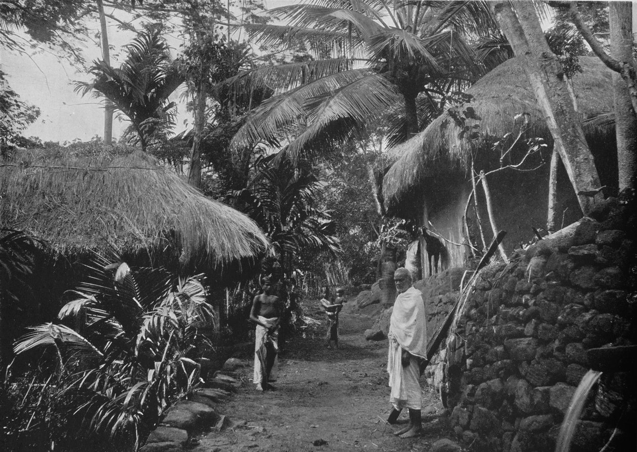 Huttes indigènes dans la jungle, vers 1890, 1910 - Alfred William Amandus Plate