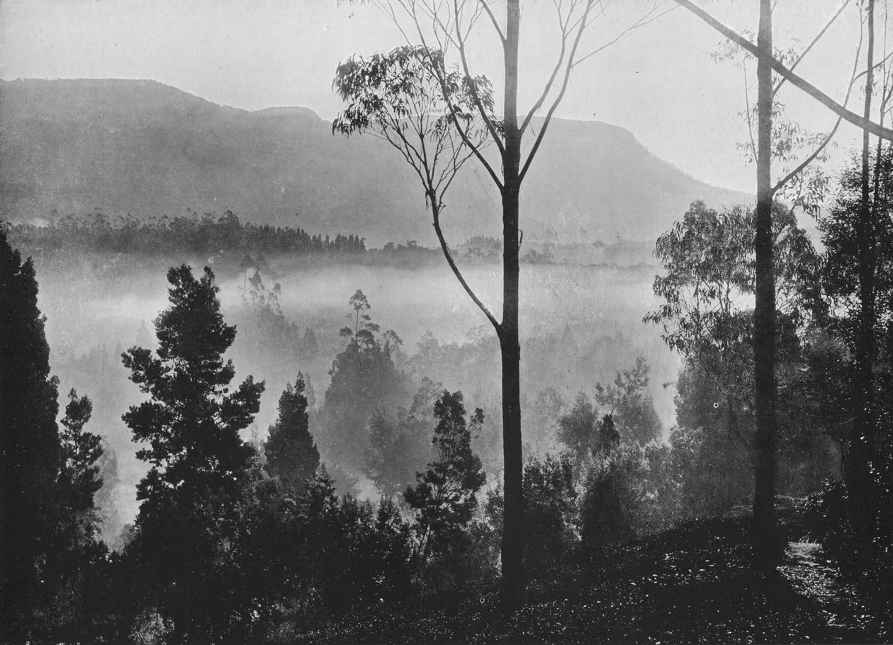 La brume du matin se levant à Nuwara Eliya - Alfred William Amandus Plate
