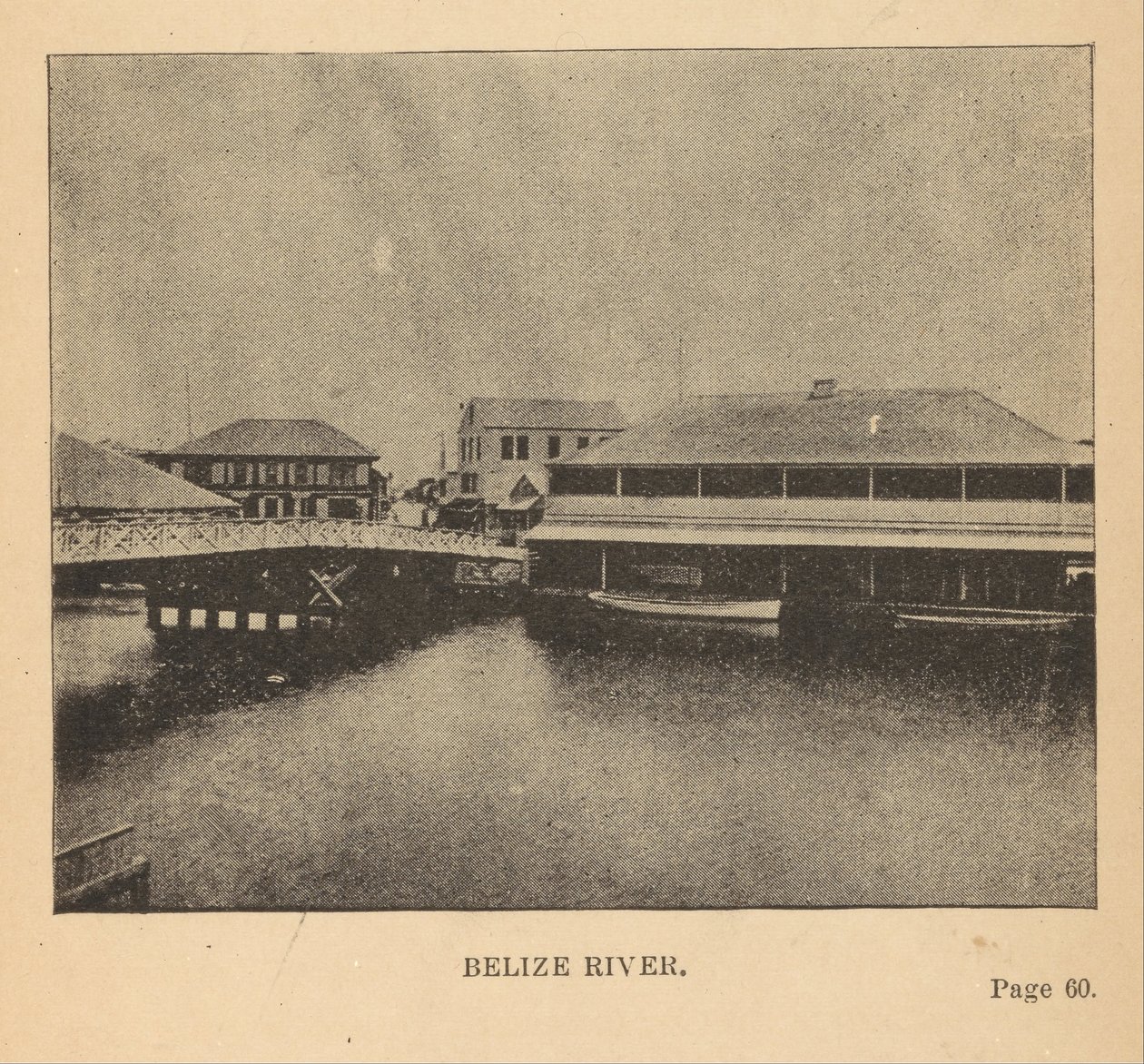 Rivière Belize - Alice D. Le Plongeon