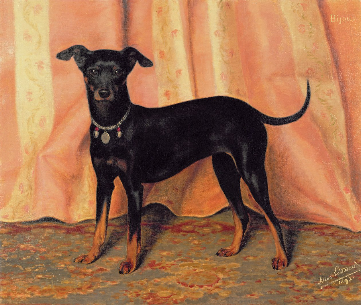 Étude de Bijou, un Bichon Terrier, 1893 - Alice Leotard