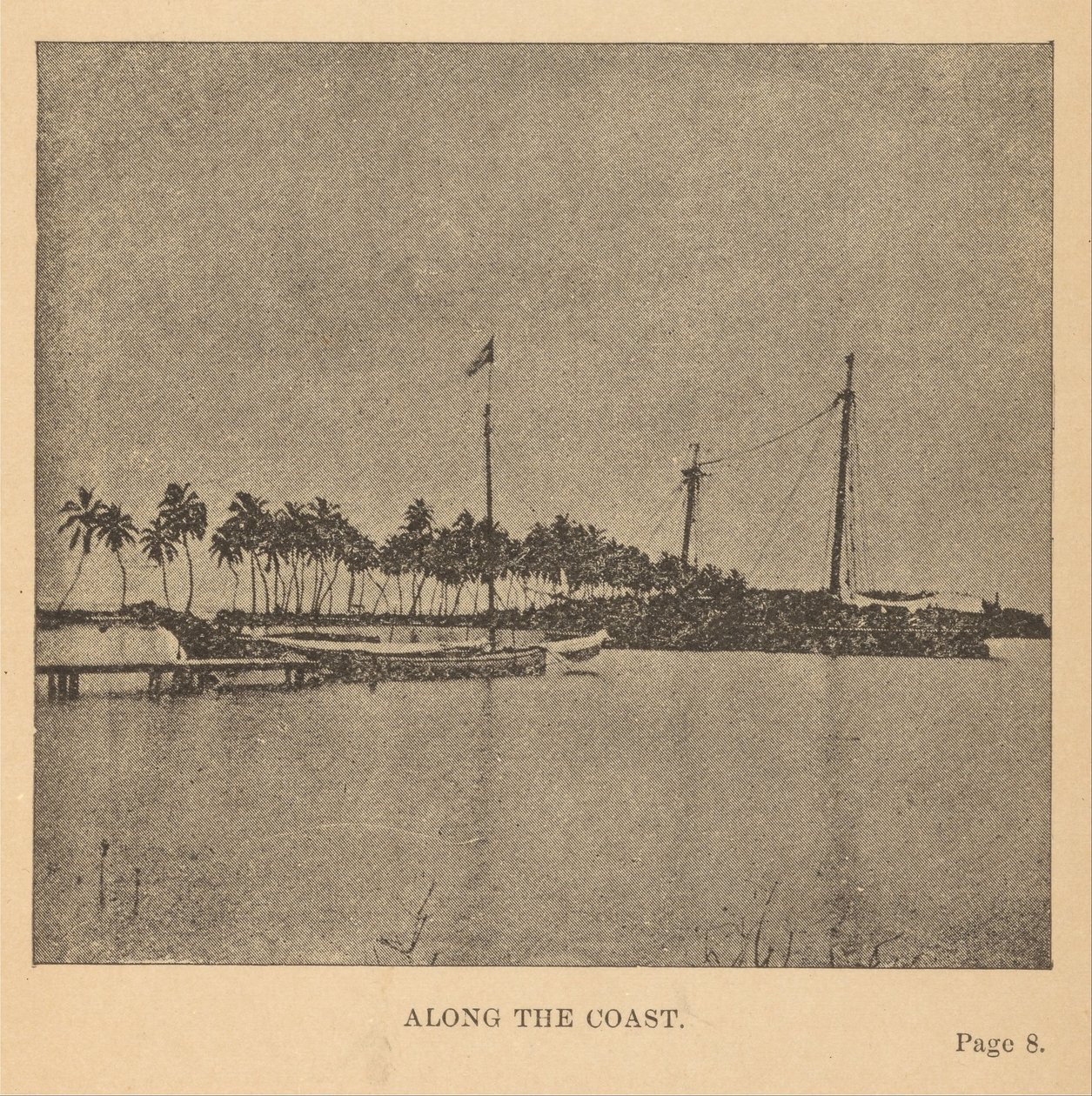 Le long de la côte - Alice Dixon Le Plongeon
