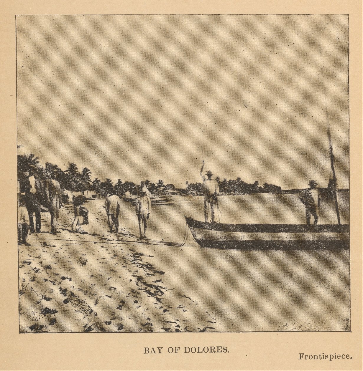 Baie de Dolores - Alice Dixon Le Plongeon