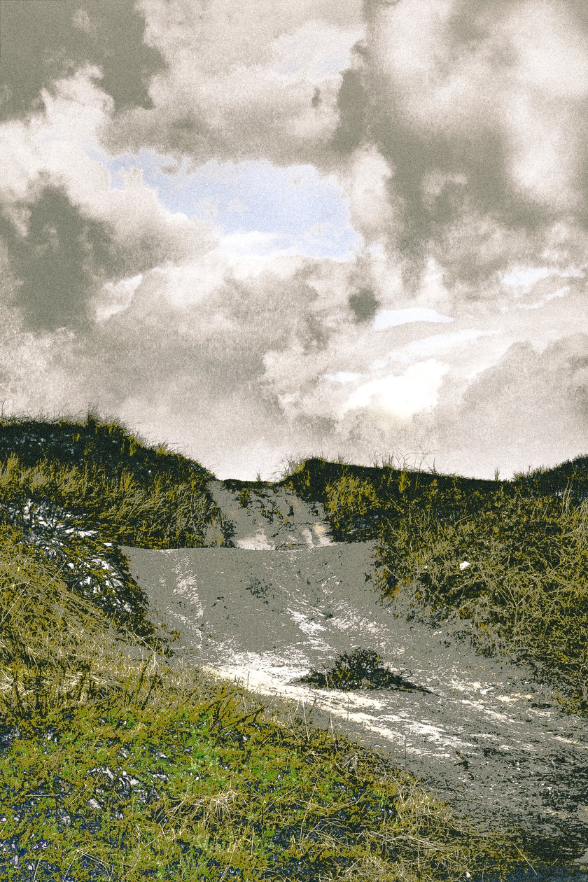 Beach Path, 2018 (photographie repeinte à la main) - Alice Gur-Arie