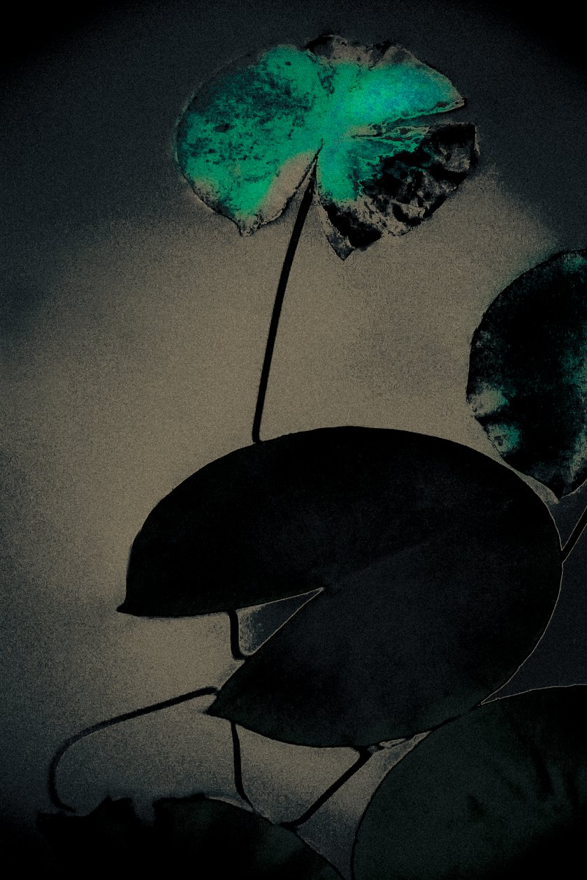 Emerald Spring, de la série Spring, 2020 (photographie repeinte à la main) - Alice Gur-Arie