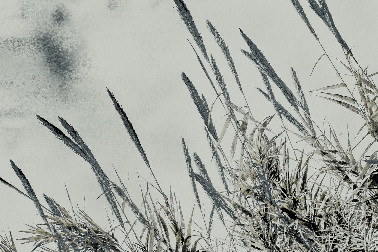 Harvest, 2017 (photographie peinte à la main) - Alice Gur-Arie
