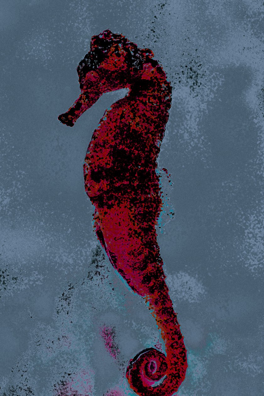 Hippocampe, 2018 (photographie peinte à la main) - Alice Gur Arie