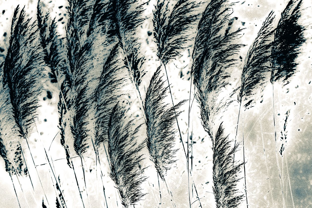 Vent d