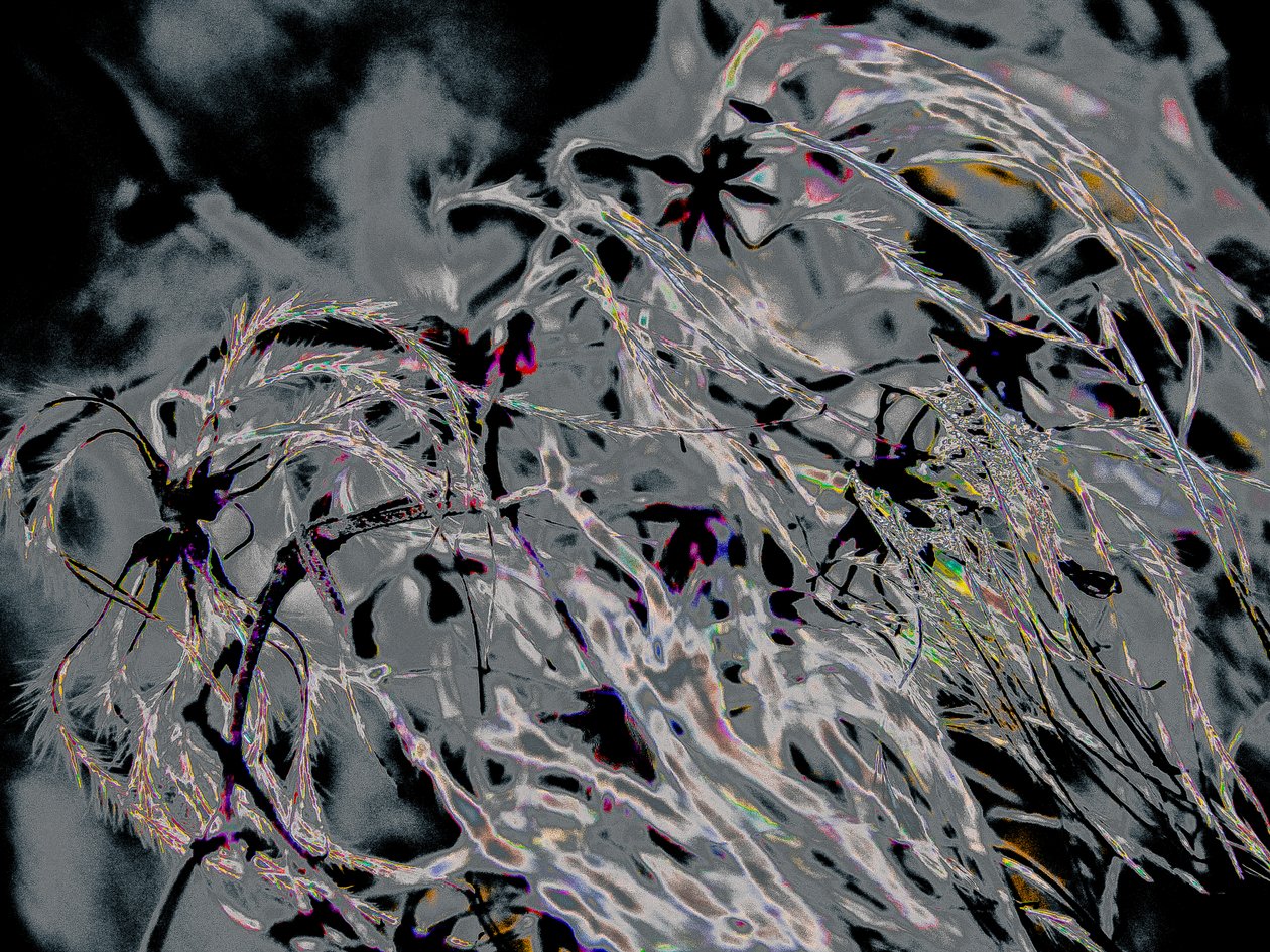 Countryfile, 2015 (photographie) - Alice Gur Arie