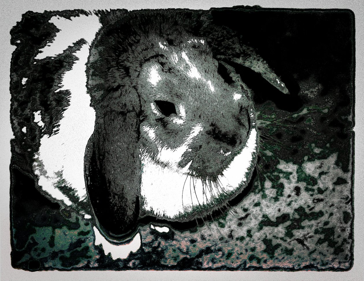 Rabbit Habbits, 2022 (photographie repeinte) - Alice Gur Arie