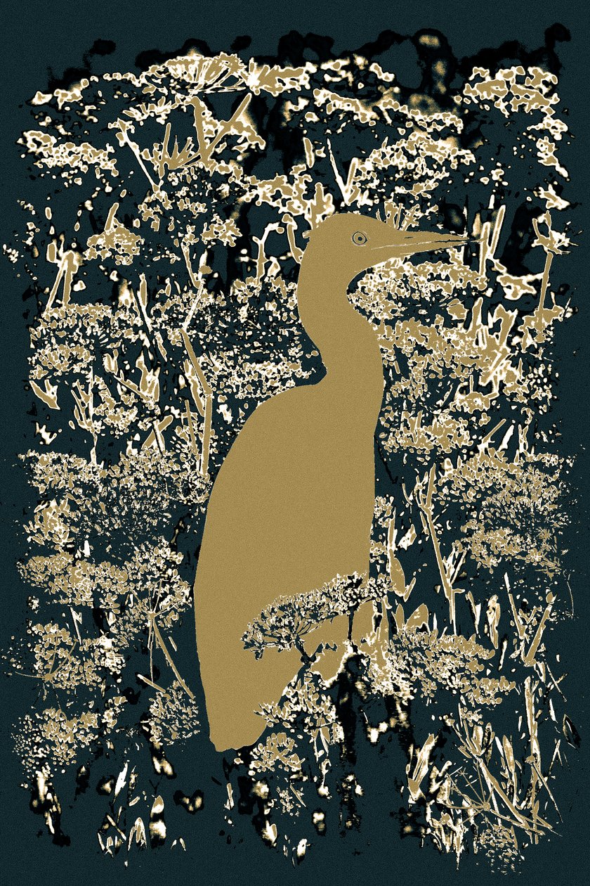 Royal Egret, 2015 (photograph) - Alice Gur Arie