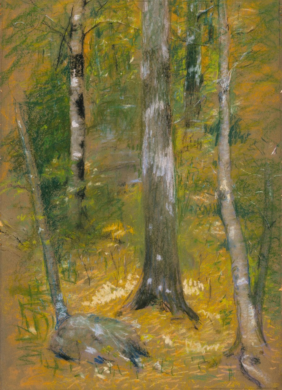 Onteora - Alice Pike Barney