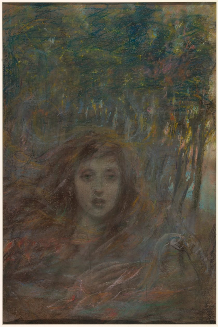 La vision à travers les bois - Alice Pike Barney