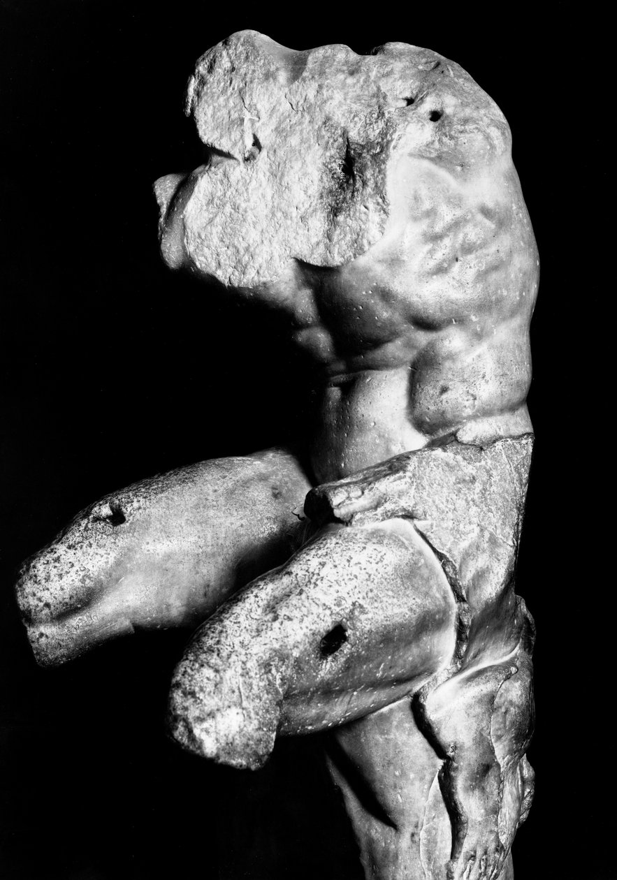 Le Torse du Belvédère par Apollonios de Nestor, vers 1890 (photo n/b) - Fratelli Alinari