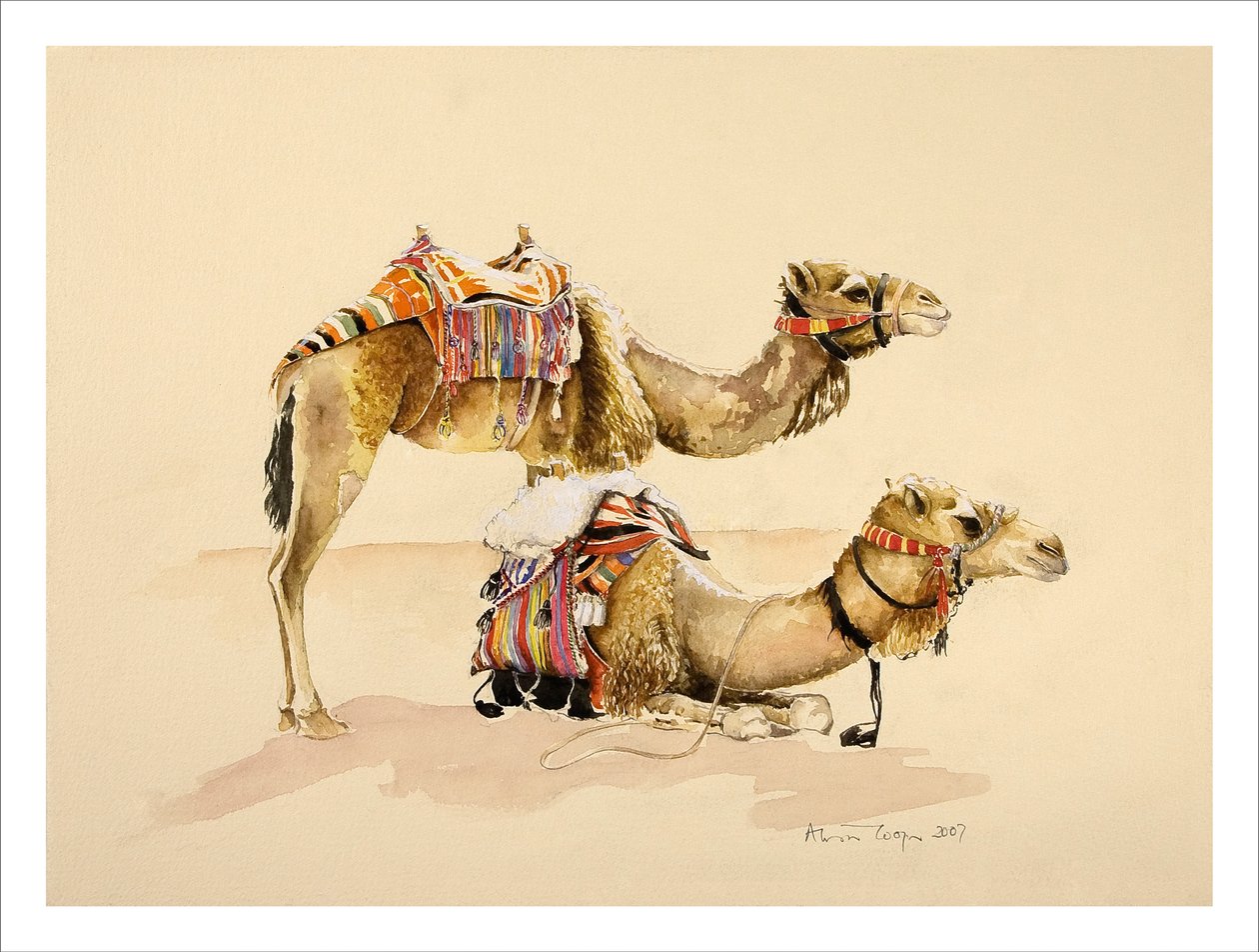 Chameaux de Petra, 2007 - Alison Cooper