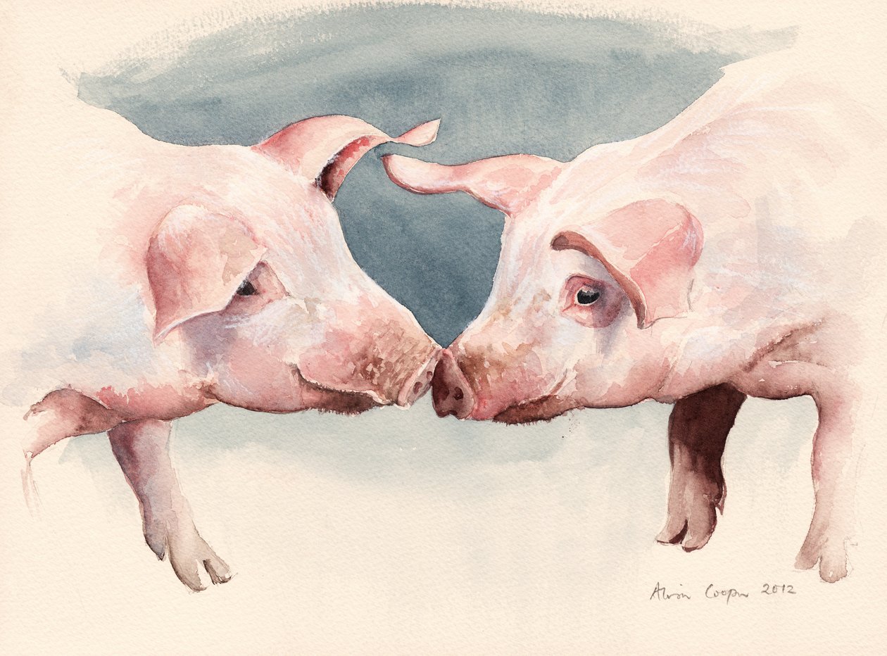 Deux petits cochons, 2012 - Alison Cooper