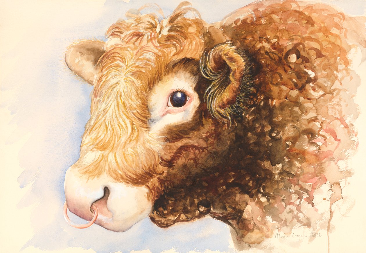 Adam le Taureau - Alison Cooper