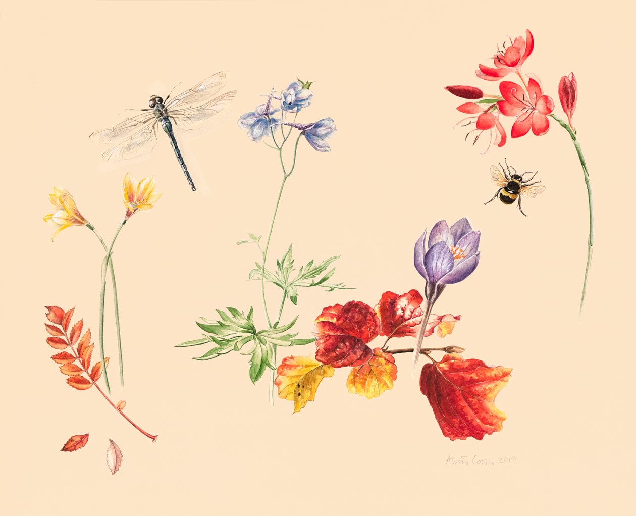 Fleurs et insectes d