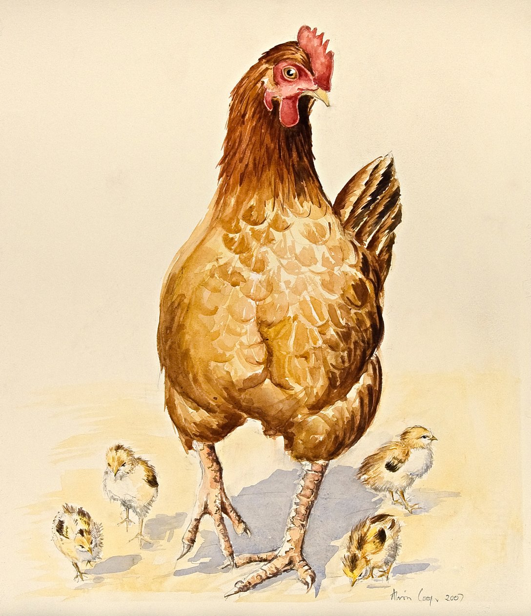 La poule de George et ses poussins, 2007 - Alison Cooper